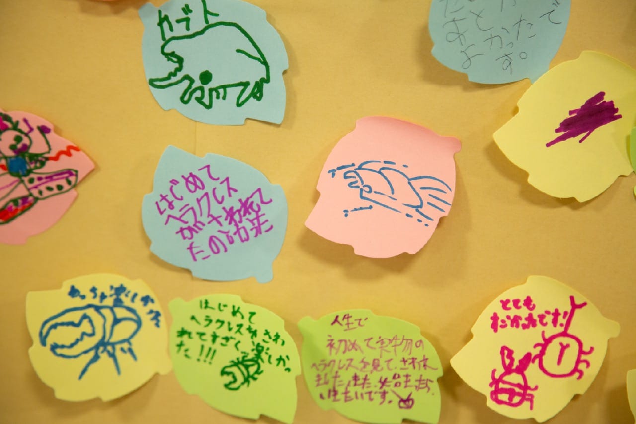 パッケージ内容イメージ