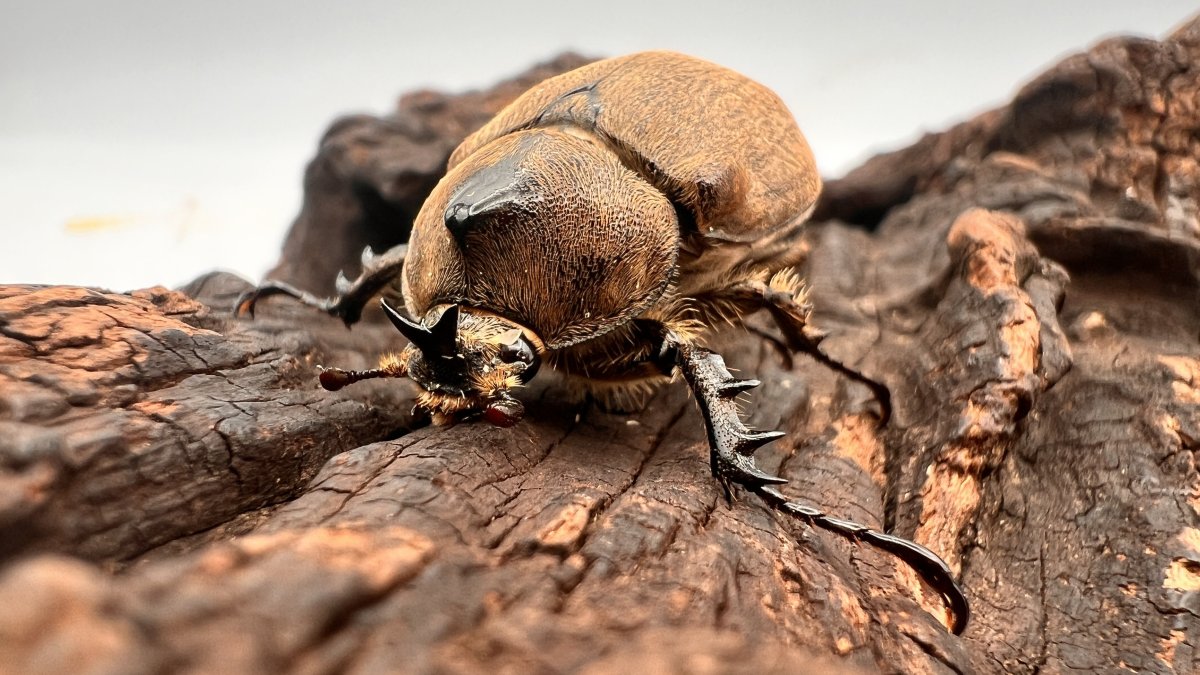 432283a2157ad0fb4bfc6d4e0a7665