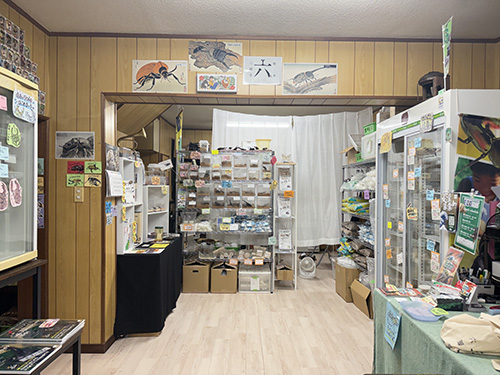 店舗内風景11